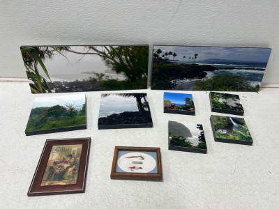 Assorted Pictures- Framed And Nature Pictures