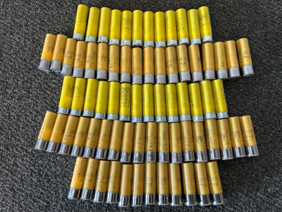 (74) Rounds Of 20 Ga.