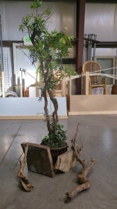 Fake Standing Tree, Driftwood, and Stone Blocks