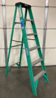 Werner 6ft Ladder