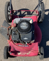 Briggs&Stratton 6.0HP Mower 2in1 Mulch/Discharge - 5