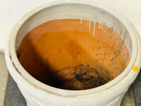 Large Flower Pot - 2