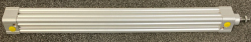 Double acting pneumatic
