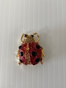 Ladybug Pin