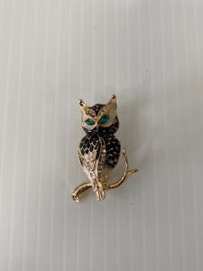 Owl On Branch Pin