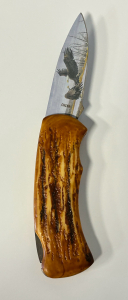Wild Outdoors Collectible Folding Knife