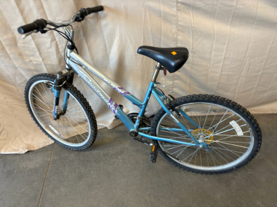 Blue Bike
