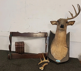 3 Gun ..Wooden Gun Rack..Tin Can.. Animated Mounted Buck..