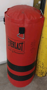 32" Everlast Punching Bag