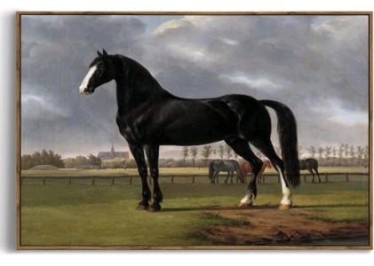 (1) Black Equine Horse Framed Canvas Wall Art - 24"x36"