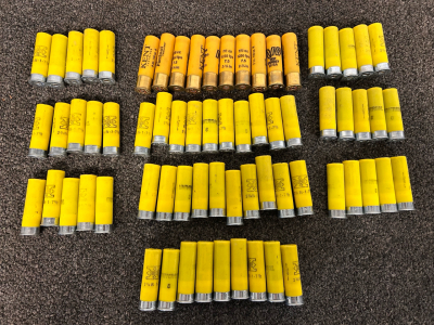 (69) Rounds of 20 Ga. Shotgun Cartridges