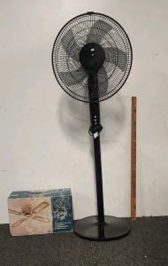 Windsor & Brown Ceiling Fan, and Black Oscillating Fan.