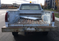 1989 GMC PICKUP - WORK TRUCK! - 6