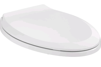 American Standard Slow Close Toilet Seats, White Tiger Picture Decor