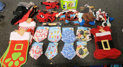 Vibrant Life Dog Bandanas, And Halloween Costumes Of Various Sizes, and Christmas Stockings.