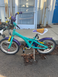 (1) 16&rdquo; Schwinn Turquoise Kids Bike