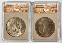 (2) Deadwood Ike Dollars Centennial and 1972 - 4