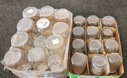 24 Canning Jars of Various Sizes