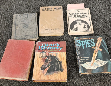 Box Of Vintage Books, Black Beauty, American Dpies, Agent Nine, and More!