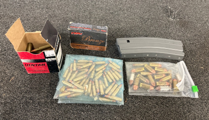 Various Ammunition - .223, .44, .377, & More