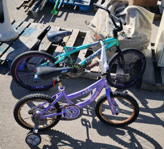 Chaos FS20 Bike And Disney Princess Bike With Training Wheels!