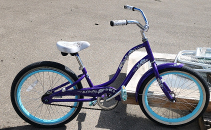 Electra Hawaii Cruiser Bike