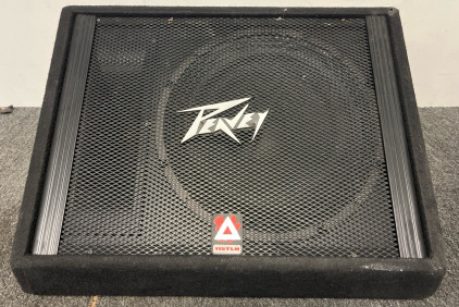 Peavy Floor Monitor Speaker