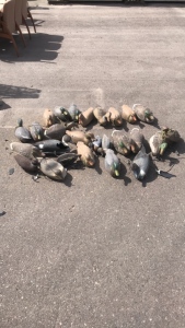 (25) Various Duck Decoys