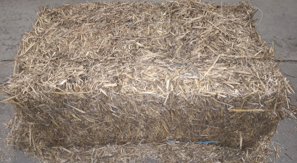 (1) Full Size Straw Bale, 35" x 19" x 12"