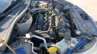 2011 FORD FOCUS - RUNS WELL! - 21