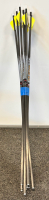Gun Cleaning Kits/ Accessories, Gun Lock and Group Of Arrows - 6