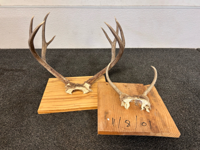 (2) Pairs Of Deer Antlers Mounted On Wood