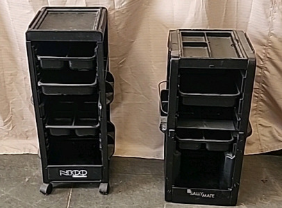 Cosmetology/Beauty Organizing Carts
