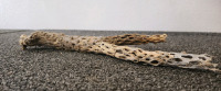 Box Of Drift Wood! - 2