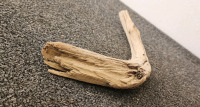 Box Of Drift Wood! - 3