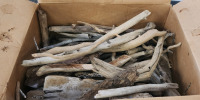 Box Of Drift Wood! - 5