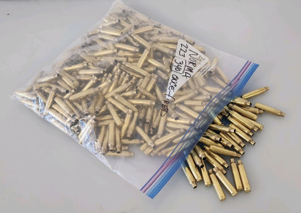 (340) Once-Fired .223 Brass