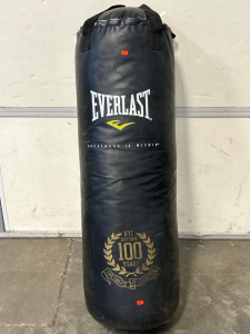 Everlast Fitness Punching/ Kicking Bag