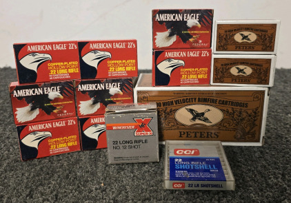 (1000+) .22LR Rounds- Assorted Brands
