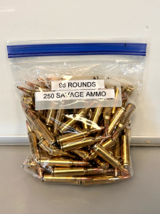 (96) sounds Of 250 Savage Ammo
