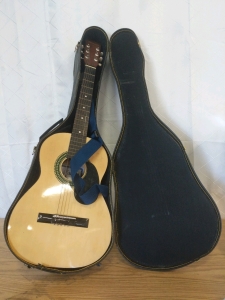 Sunlite Acoustic Guitar Blonde with Hard Case GW-800G