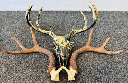 Custom Deer Skull With Antlers and A Set Of 3x3 Deer Antlers