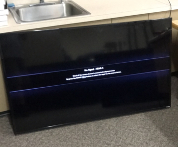 65” Vizio TV