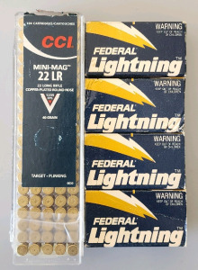 22LR Ammunition.