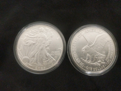 2) 2025 American Silver Eagle Replica Coin