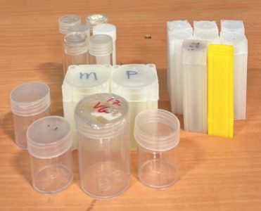 (25) Assorted Coin Tubes & Holders