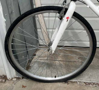 700x38C White Infinity Bike
