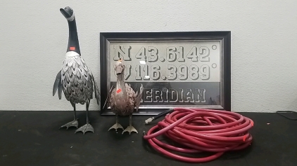 (2) Geese Outdoor Decor (1) Air Hose, (1) Meridian Coordinates Wall Decor