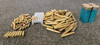 (63) Various .22 Bullets, (98) .22 Hornet Bullets, (4) Remington 12 Guage Shot