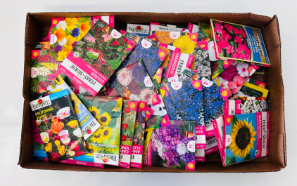 Large Selection of Garden Seeds (Flowers)